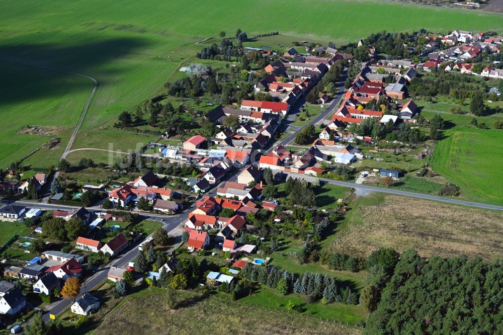 Oelsig von oben - Dorfkern am Feldrand in Oelsig im Bundesland Brandenburg, Deutschland