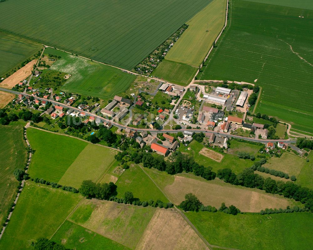 Oelsitz aus der Vogelperspektive: Dorfkern am Feldrand in Oelsitz im Bundesland Sachsen, Deutschland