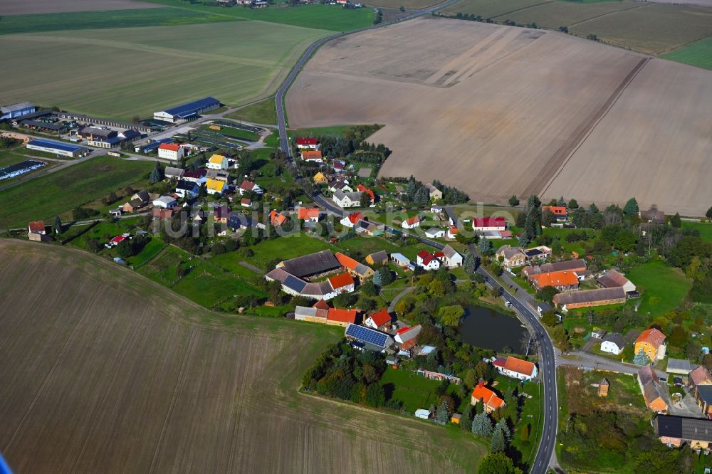 Luftbild Ogkeln - Dorfkern am Feldrand in Ogkeln im Bundesland Sachsen-Anhalt, Deutschland
