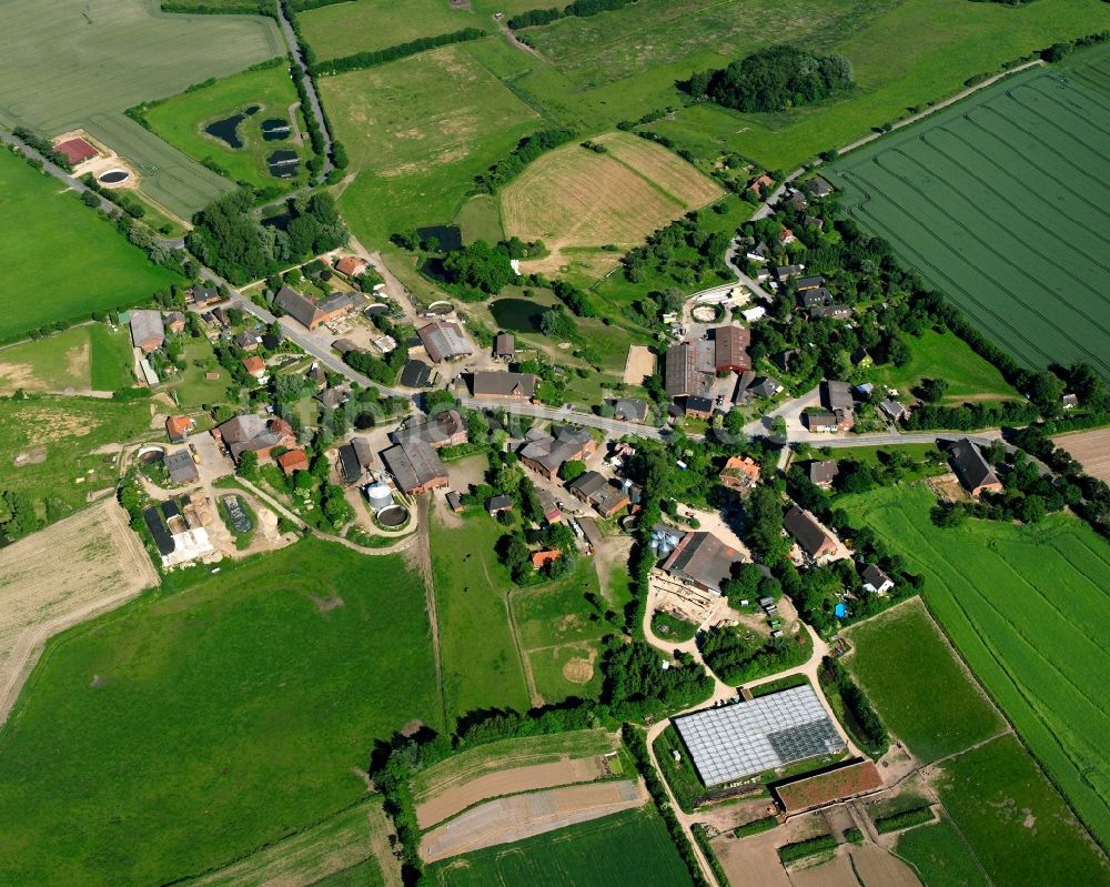 Luftaufnahme Panten - Dorfkern am Feldrand in Panten im Bundesland Schleswig-Holstein, Deutschland