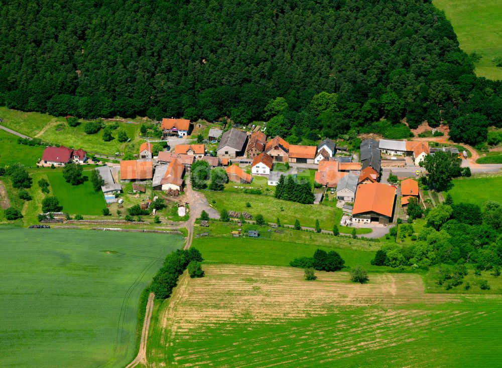 Ramsen aus der Vogelperspektive: Dorfkern am Feldrand in Ramsen im Bundesland Rheinland-Pfalz, Deutschland