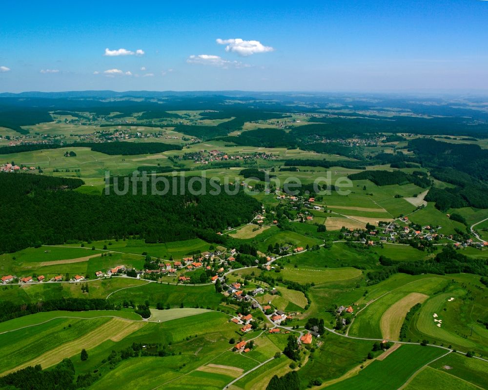 Rickenbach von oben - Dorfkern am Feldrand in Rickenbach im Bundesland Baden-Württemberg, Deutschland