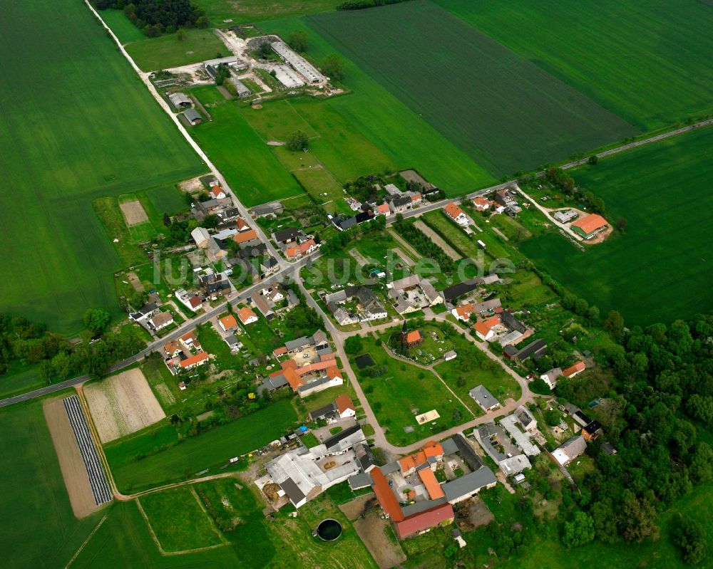 Luftaufnahme Rietzmeck - Dorfkern am Feldrand in Rietzmeck im Bundesland Sachsen-Anhalt, Deutschland