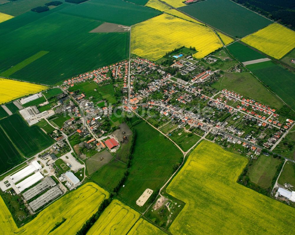 Luftbild Rodleben - Dorfkern am Feldrand in Rodleben im Bundesland Sachsen-Anhalt, Deutschland