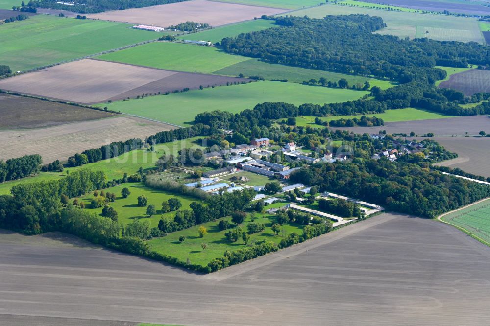 Rottenau von oben - Dorfkern am Feldrand in Rottenau im Bundesland Sachsen-Anhalt, Deutschland