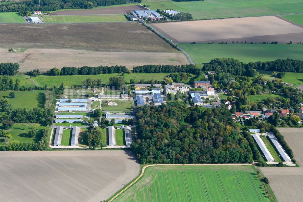 Luftbild Rottenau - Dorfkern am Feldrand in Rottenau im Bundesland Sachsen-Anhalt, Deutschland