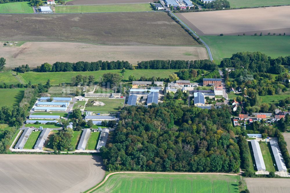 Luftaufnahme Rottenau - Dorfkern am Feldrand in Rottenau im Bundesland Sachsen-Anhalt, Deutschland