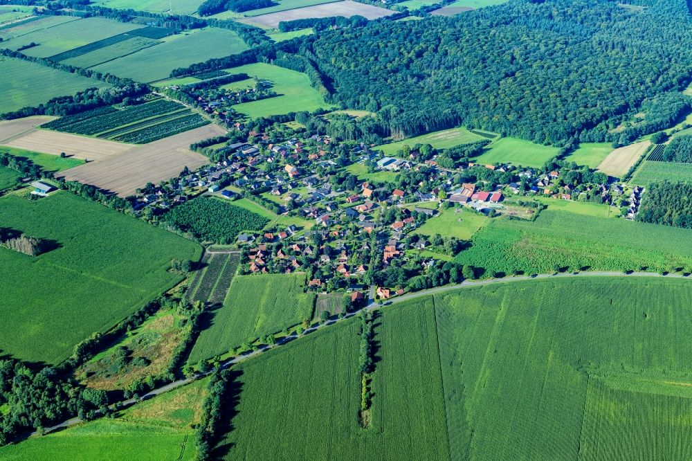 Ruschwedel von oben - Dorfkern am Feldrand in Ruschwedel im Bundesland Niedersachsen, Deutschland