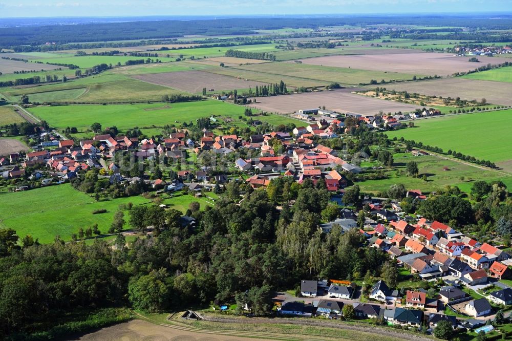 Satuelle von oben - Dorfkern am Feldrand in Satuelle im Bundesland Sachsen-Anhalt, Deutschland