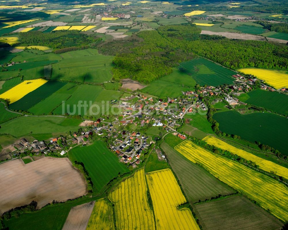 Luftbild Schönberg - Dorfkern am Feldrand in Schönberg im Bundesland Schleswig-Holstein, Deutschland