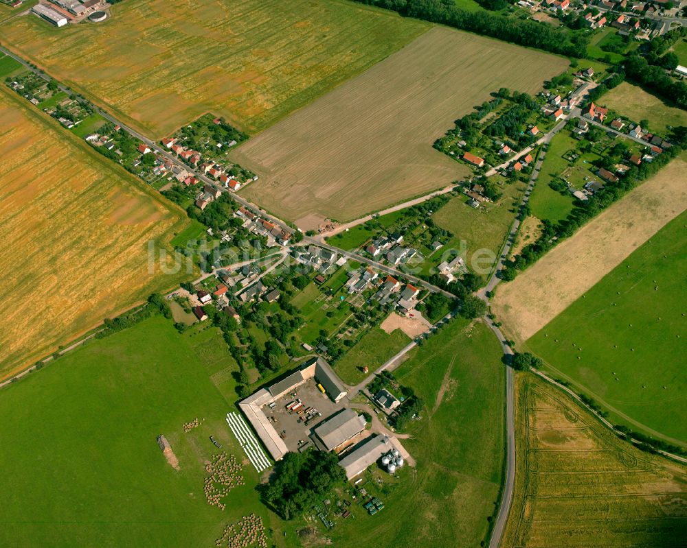Schwarzroda aus der Vogelperspektive: Dorfkern am Feldrand in Schwarzroda im Bundesland Sachsen, Deutschland