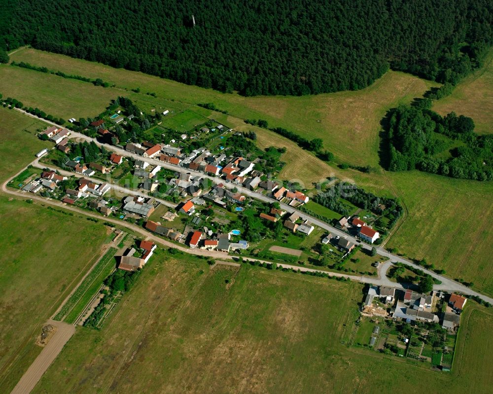 Schweinitz von oben - Dorfkern am Feldrand in Schweinitz im Bundesland Sachsen-Anhalt, Deutschland