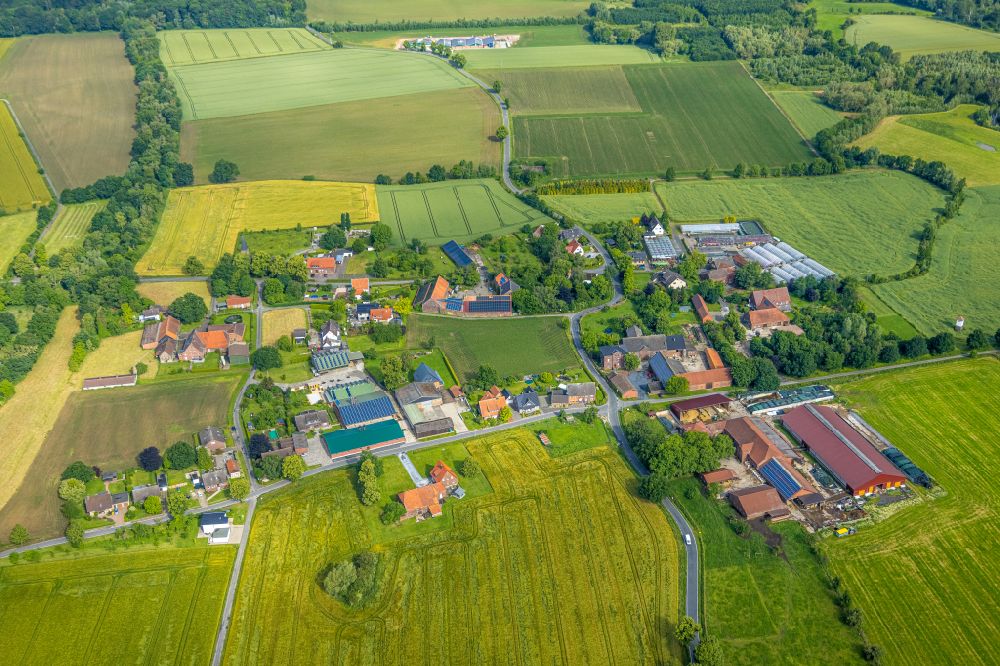 Süddinker von oben - Dorfkern am Feldrand in Süddinker im Bundesland Nordrhein-Westfalen, Deutschland