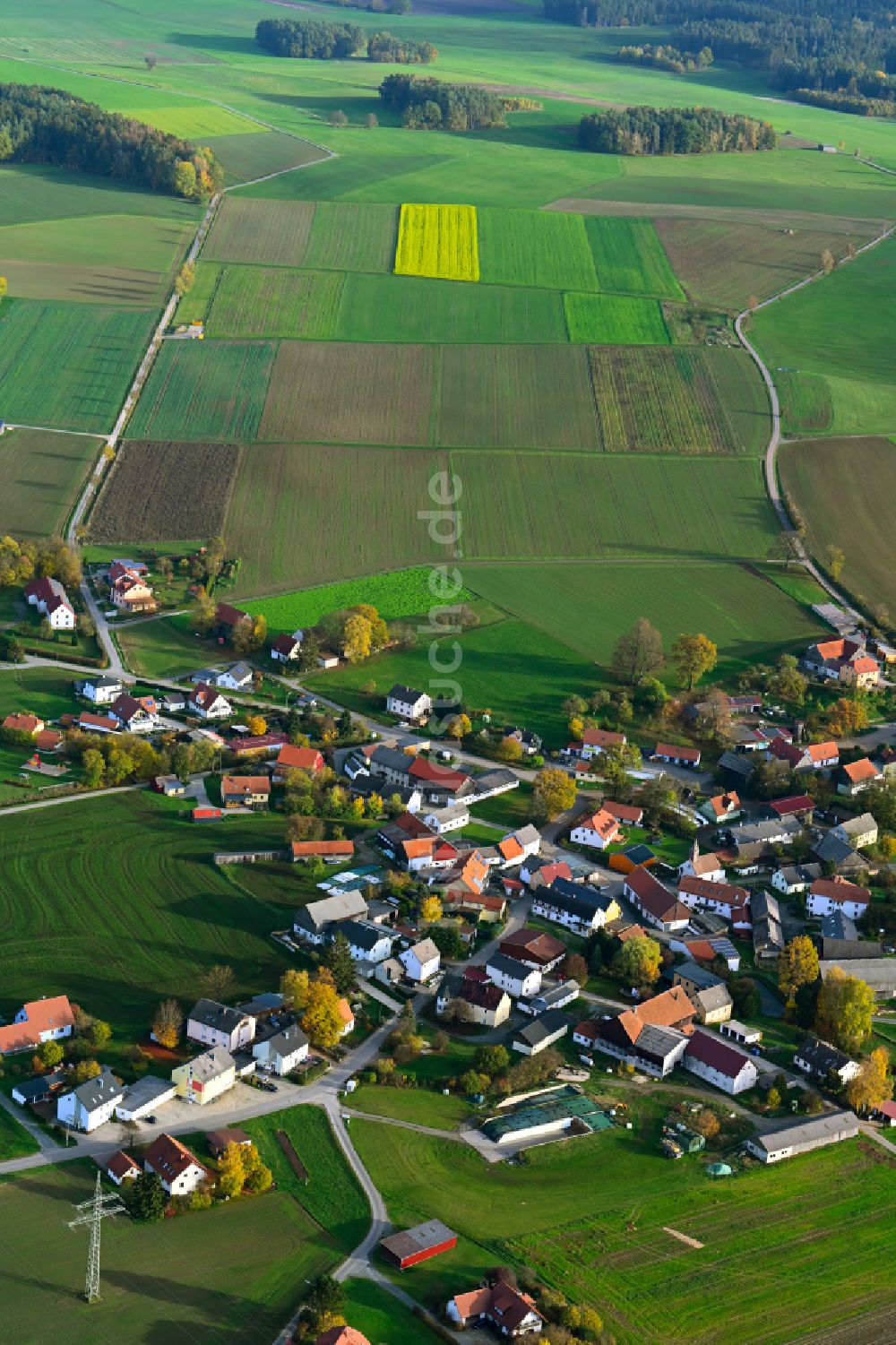Selbitz aus der Vogelperspektive: Dorfkern am Feldrand in Selbitz im Bundesland Bayern, Deutschland