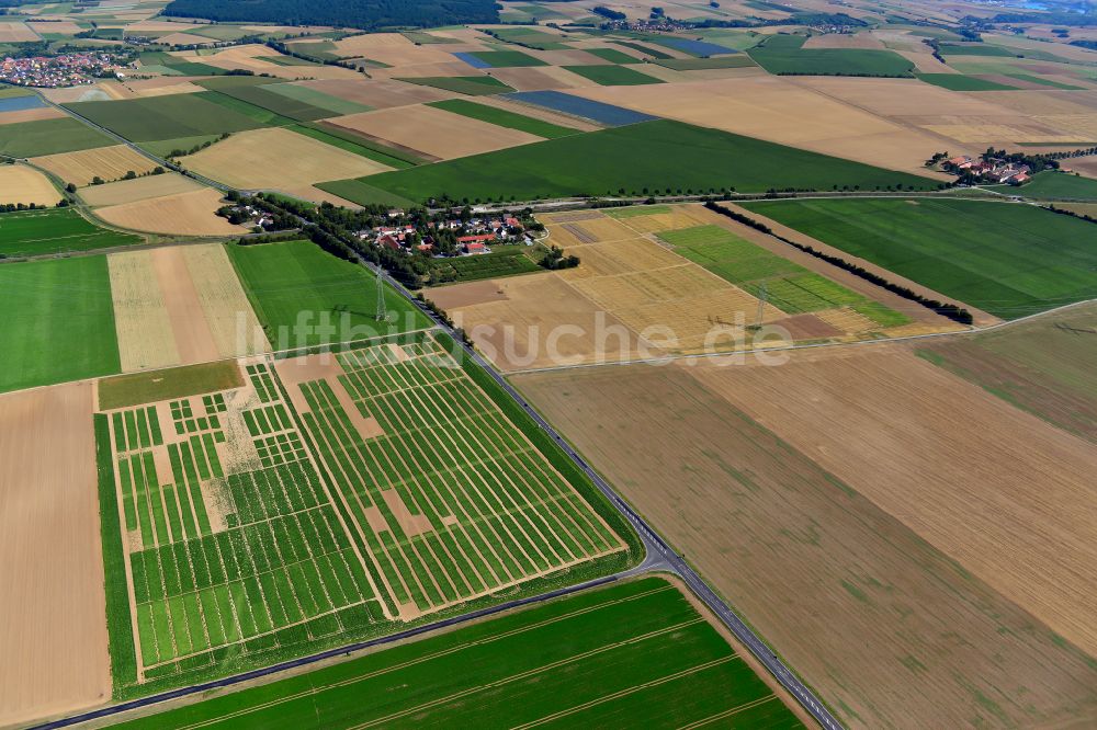 Luftbild Seligenstadt b.Würzburg - Dorfkern am Feldrand in Seligenstadt b.Würzburg im Bundesland Bayern, Deutschland