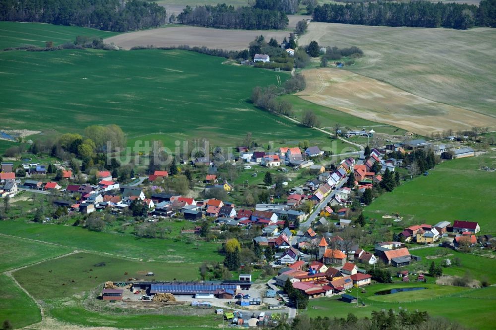 Luftaufnahme Senftenhütte - Dorfkern am Feldrand in Senftenhütte im Bundesland Brandenburg, Deutschland