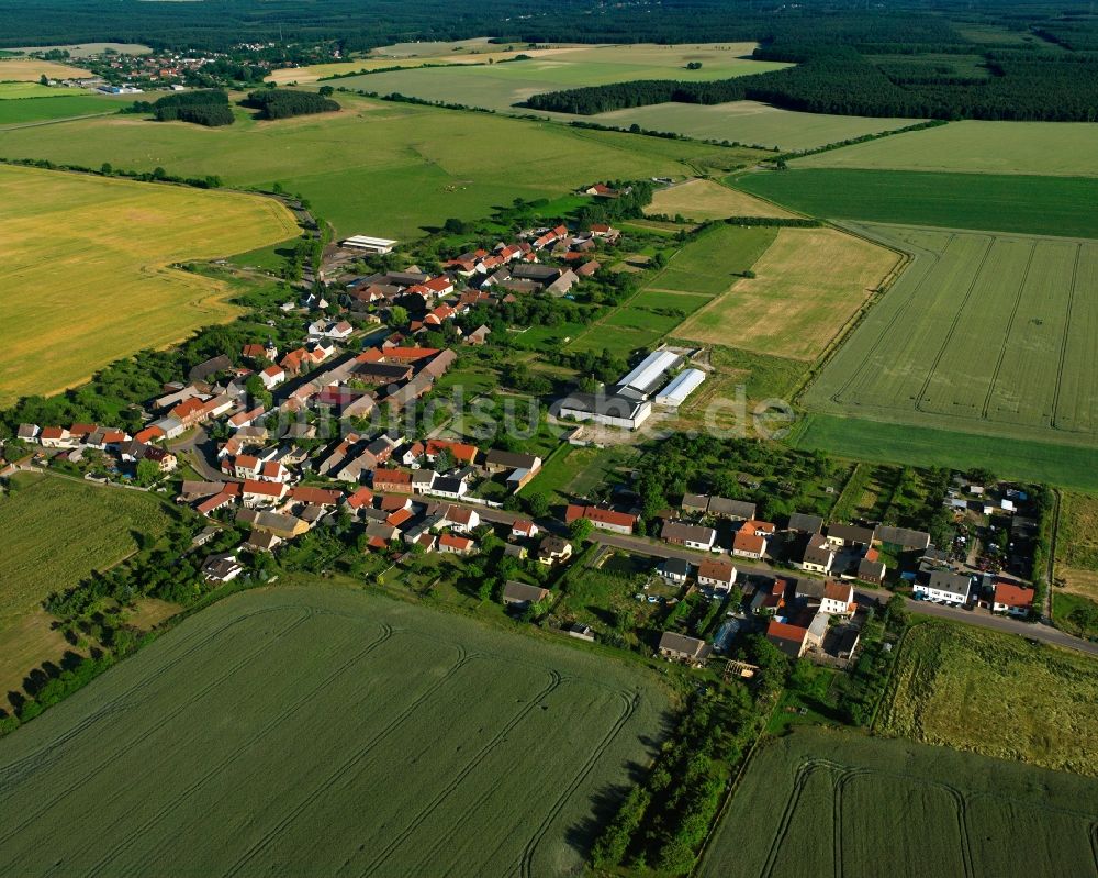 Luftaufnahme Senst - Dorfkern am Feldrand in Senst im Bundesland Sachsen-Anhalt, Deutschland