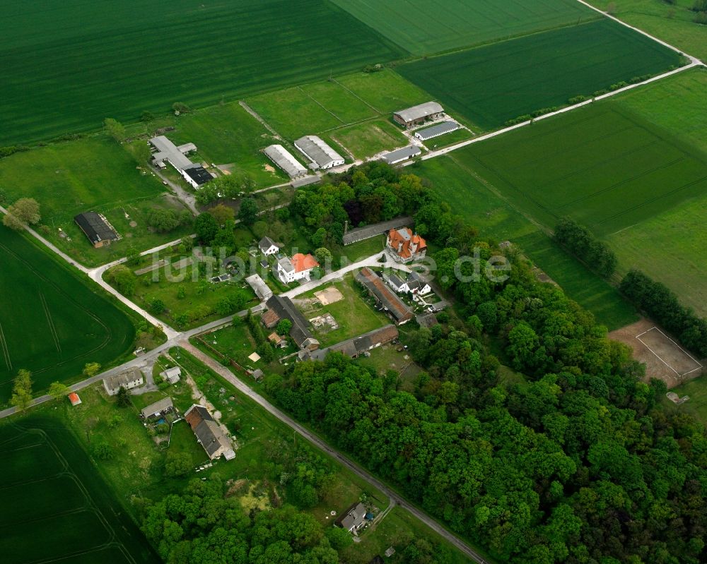 Siedlung Nutha von oben - Dorfkern am Feldrand in Siedlung Nutha im Bundesland Sachsen-Anhalt, Deutschland