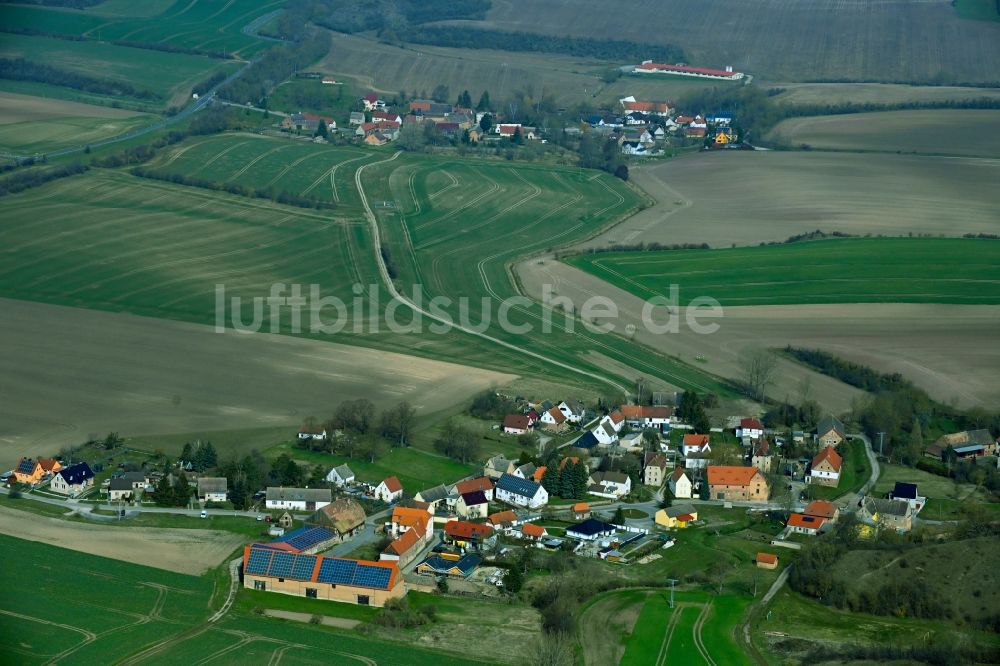 Luftbild Spielberg - Dorfkern am Feldrand in Spielberg im Bundesland Sachsen-Anhalt, Deutschland