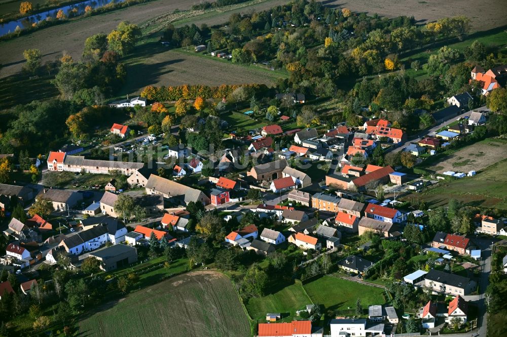 Luftaufnahme Trebnitz - Dorfkern am Feldrand in Trebnitz im Bundesland Sachsen-Anhalt, Deutschland