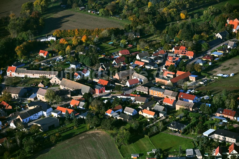 Trebnitz von oben - Dorfkern am Feldrand in Trebnitz im Bundesland Sachsen-Anhalt, Deutschland