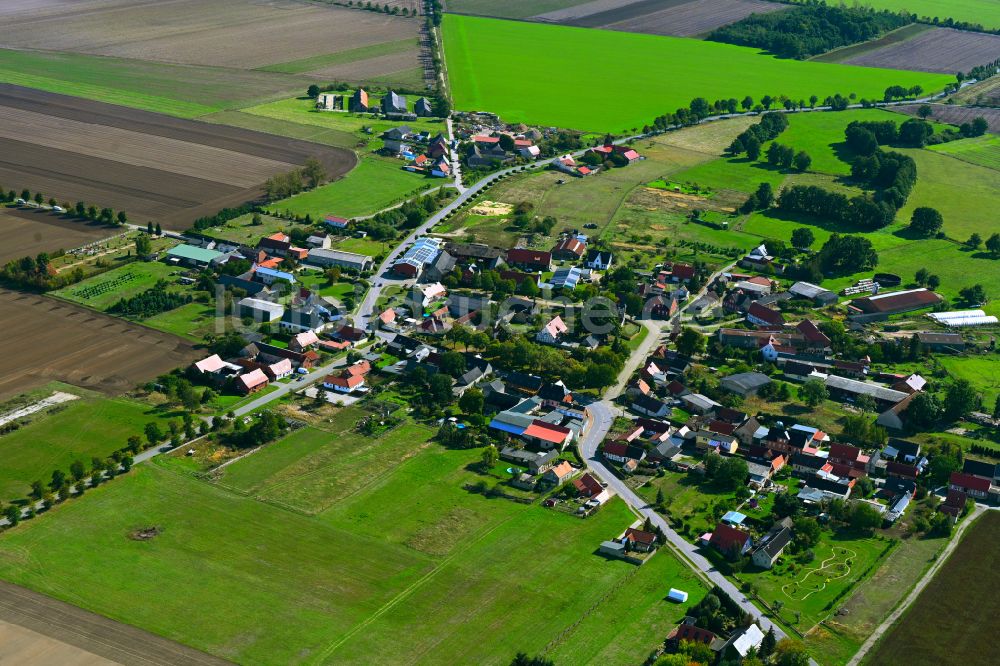 Luftbild Trippigleben - Dorfkern am Feldrand in Trippigleben im Bundesland Sachsen-Anhalt, Deutschland