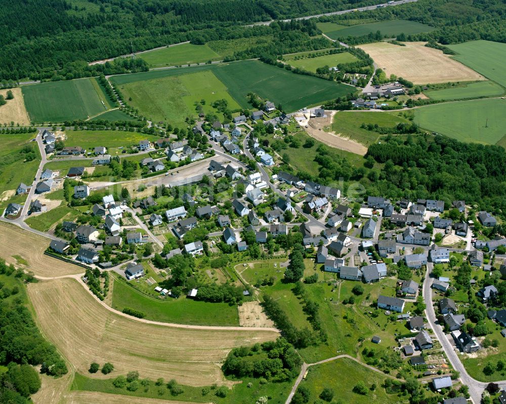 Udenhausen von oben - Dorfkern am Feldrand in Udenhausen im Bundesland Rheinland-Pfalz, Deutschland