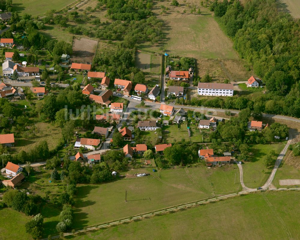 Vienenburg aus der Vogelperspektive: Dorfkern am Feldrand in Vienenburg im Bundesland Sachsen-Anhalt, Deutschland