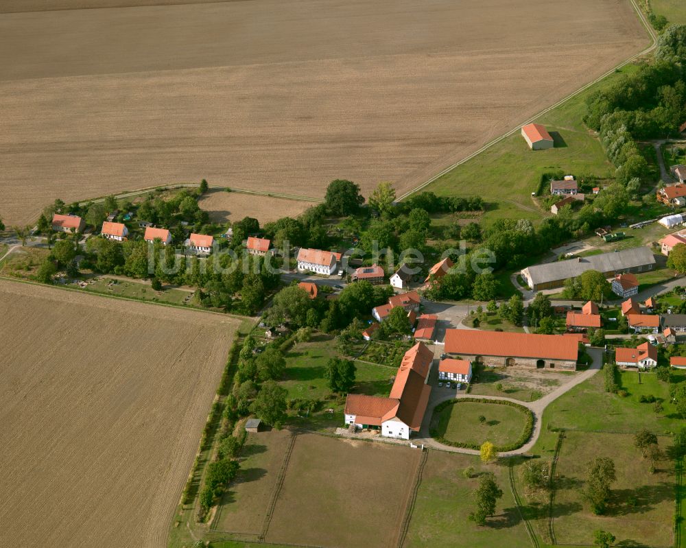 Luftaufnahme Vienenburg - Dorfkern am Feldrand in Vienenburg im Bundesland Sachsen-Anhalt, Deutschland