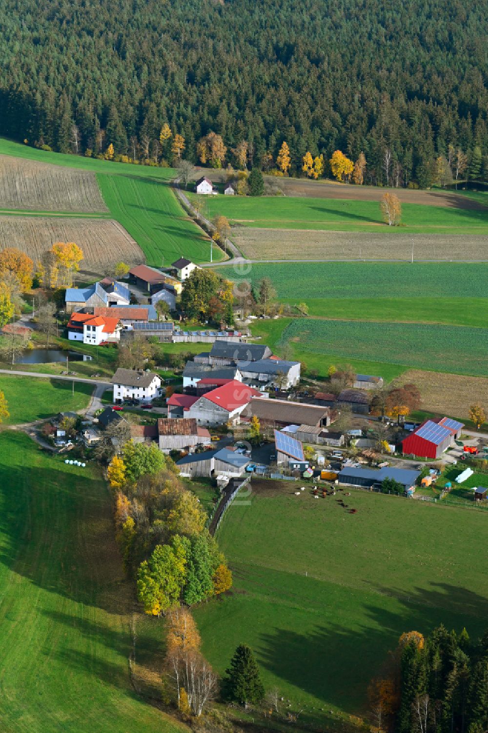 Vierst aus der Vogelperspektive: Dorfkern am Feldrand in Vierst im Bundesland Bayern, Deutschland