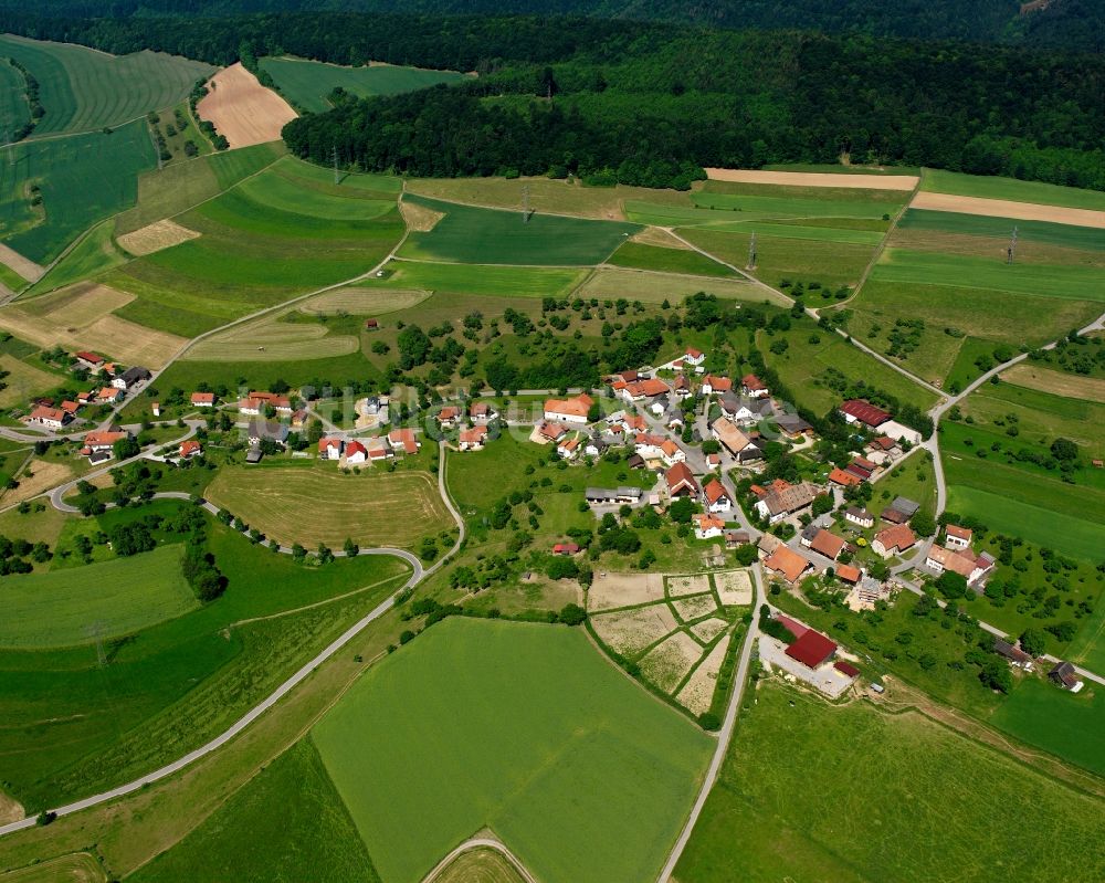 Luftbild Waldshut-Tiengen - Dorfkern am Feldrand in Waldshut-Tiengen im Bundesland Baden-Württemberg, Deutschland