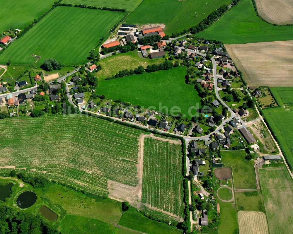 Luftaufnahme Wentorf (Amt Sandesneben) - Dorfkern am Feldrand in Wentorf (Amt Sandesneben) im Bundesland Schleswig-Holstein, Deutschland