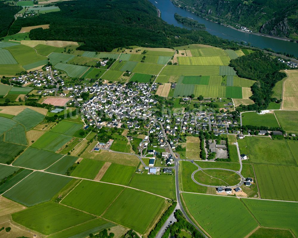 Werlau von oben - Dorfkern am Feldrand in Werlau im Bundesland Rheinland-Pfalz, Deutschland