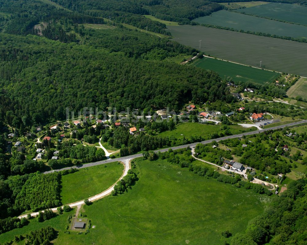 Wienrode von oben - Dorfkern am Feldrand in Wienrode im Bundesland Sachsen-Anhalt, Deutschland