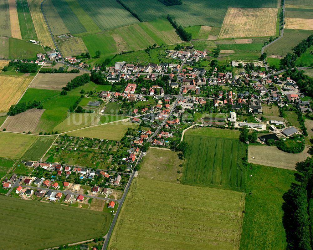 Wildenhain von oben - Dorfkern am Feldrand in Wildenhain im Bundesland Sachsen, Deutschland