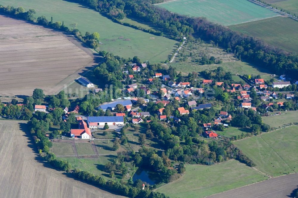Luftbild Wülperode - Dorfkern am Feldrand in Wülperode im Bundesland Sachsen-Anhalt, Deutschland