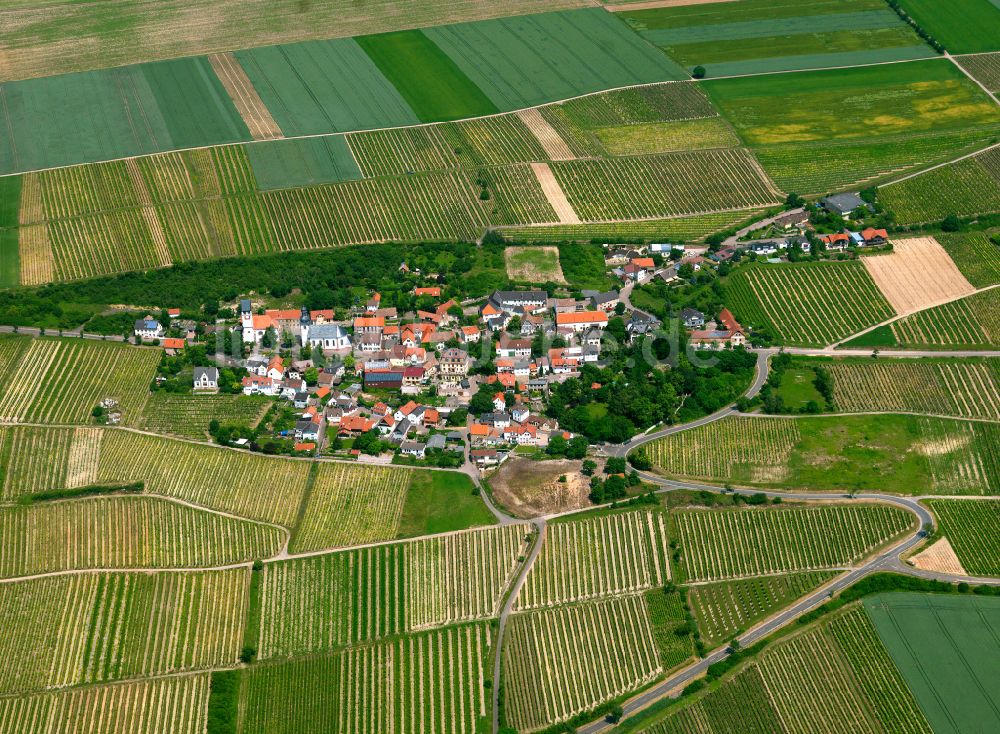 Zell von oben - Dorfkern am Feldrand in Zell im Bundesland Rheinland-Pfalz, Deutschland