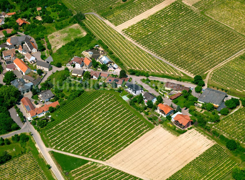 Zell aus der Vogelperspektive: Dorfkern am Feldrand in Zell im Bundesland Rheinland-Pfalz, Deutschland