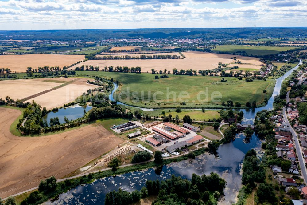 Schiffmühle aus der Vogelperspektive: Dorfkern an den Fluss- Uferbereichen Alte Oder in Neutornow im Bundesland Brandenburg, Deutschland