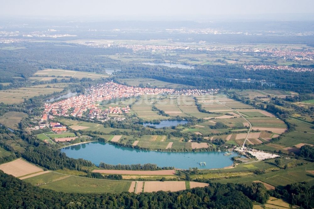 Luftaufnahme Neuburg am Rhein - Dorfkern an den Fluss- Uferbereichen des Altrheins in Neuburg am Rhein im Bundesland Rheinland-Pfalz