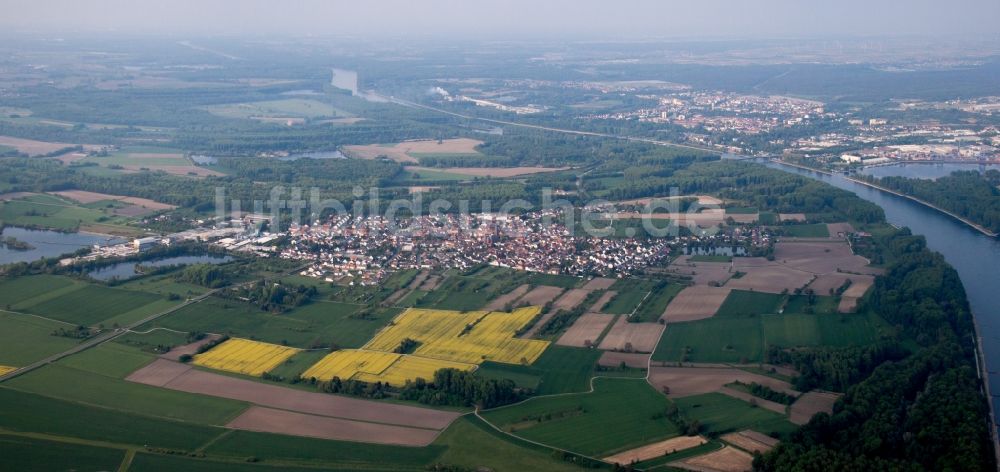Luftbild Philippsburg - Dorfkern an den Fluss- Uferbereichen des Rhein im Ortsteil Rheinsheim in Philippsburg im Bundesland Baden-Württemberg, Deutschland
