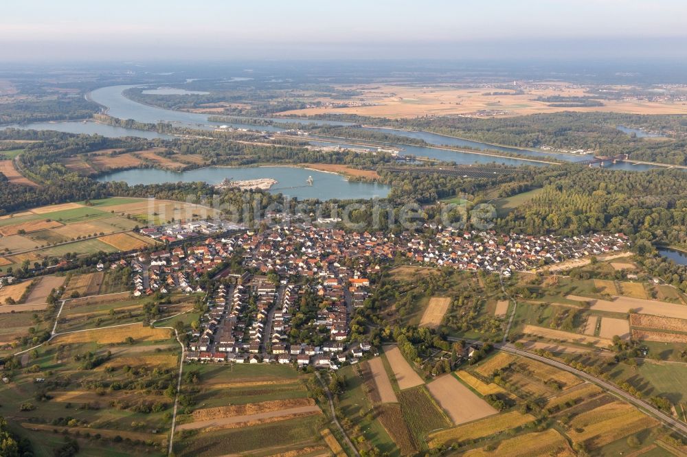 Luftaufnahme Wintersdorf - Dorfkern an den Fluss- Uferbereichen des Rhein in Wintersdorf im Bundesland Baden-Württemberg, Deutschland