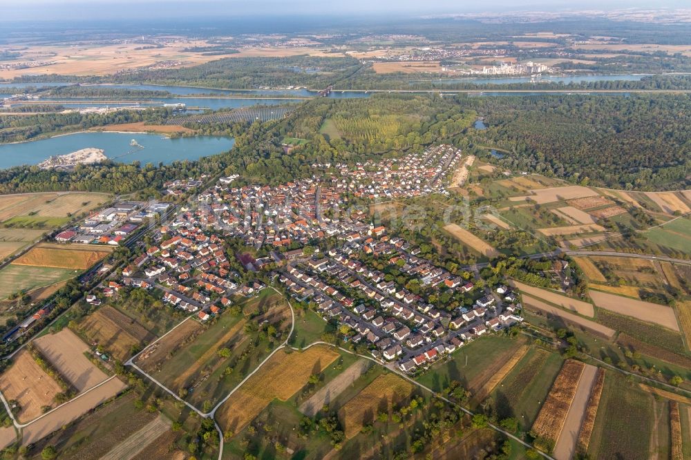 Wintersdorf von oben - Dorfkern an den Fluss- Uferbereichen des Rhein in Wintersdorf im Bundesland Baden-Württemberg, Deutschland