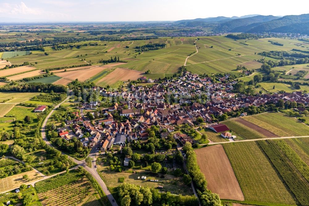 Luftbild Göcklingen - Dorfkern in Göcklingen im Bundesland Rheinland-Pfalz, Deutschland