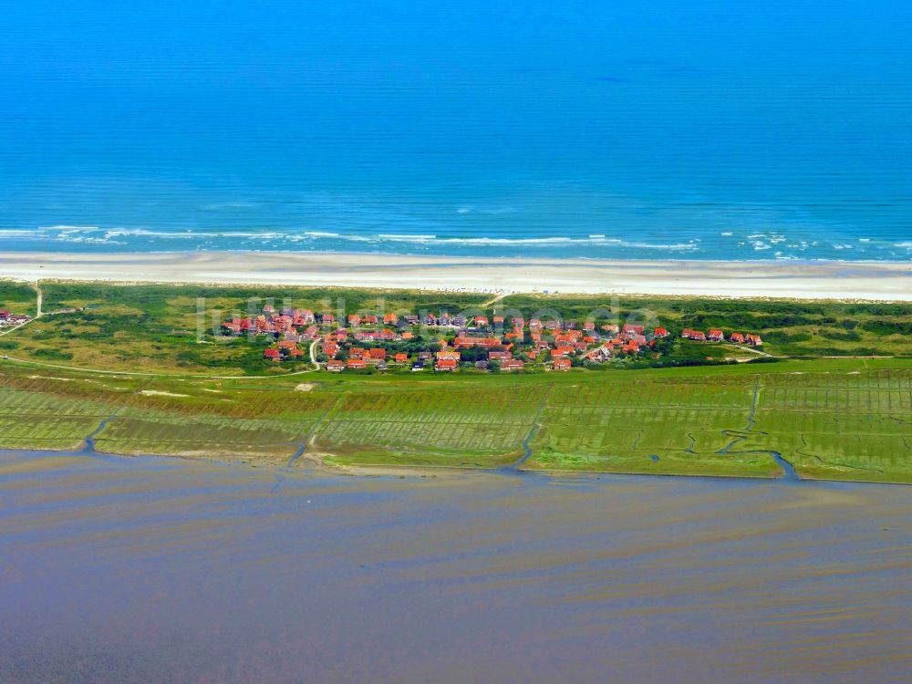 Luftaufnahme Loog - Dorfkern am Meeres- Küstenbereich der Nordsee- Insel Juist in Loog im Bundesland Niedersachsen, Deutschland