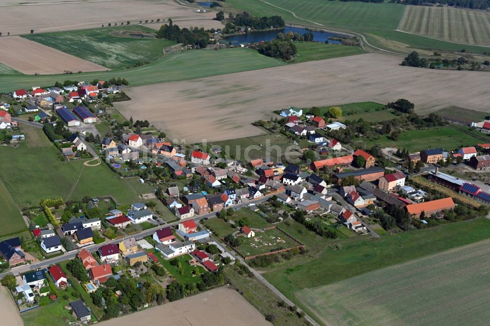 Luftaufnahme Melzwig - Dorfkern in Melzwig im Bundesland Sachsen-Anhalt, Deutschland