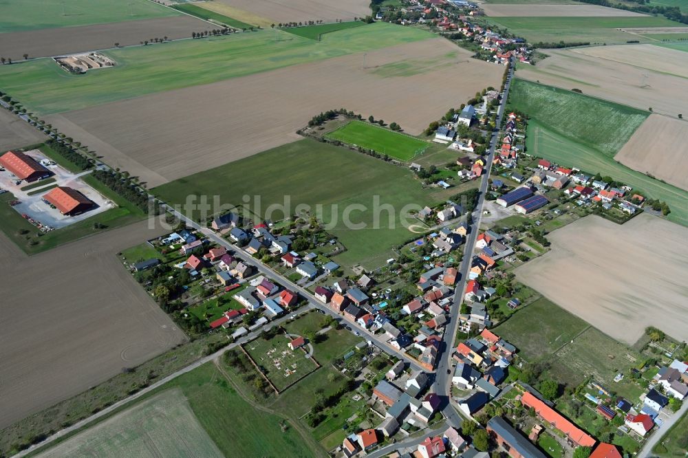 Melzwig aus der Vogelperspektive: Dorfkern in Melzwig im Bundesland Sachsen-Anhalt, Deutschland