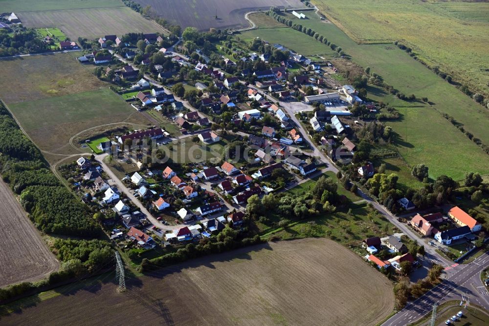 Luftaufnahme Mose - Dorfkern in Mose im Bundesland Sachsen-Anhalt, Deutschland