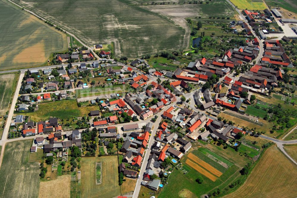 Luftaufnahme Selbitz - Dorfkern am Rande des Kraftwerkes in Selbitz im Bundesland Sachsen-Anhalt, Deutschland
