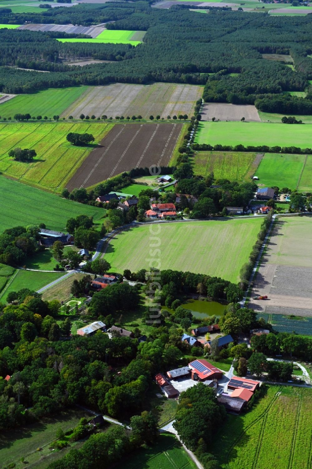 Luftaufnahme Reddereitz - Dorfkern in Reddereitz im Bundesland Niedersachsen, Deutschland